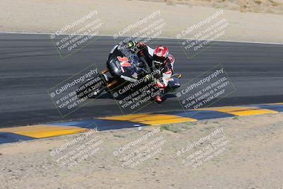 media/Feb-04-2023-SoCal Trackdays (Sat) [[8a776bf2c3]]/Turn 6 Inside (1025am)/